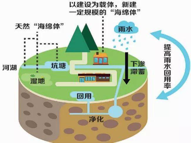 雨水收集利用系統(tǒng)都被應(yīng)用到什么領(lǐng)域？